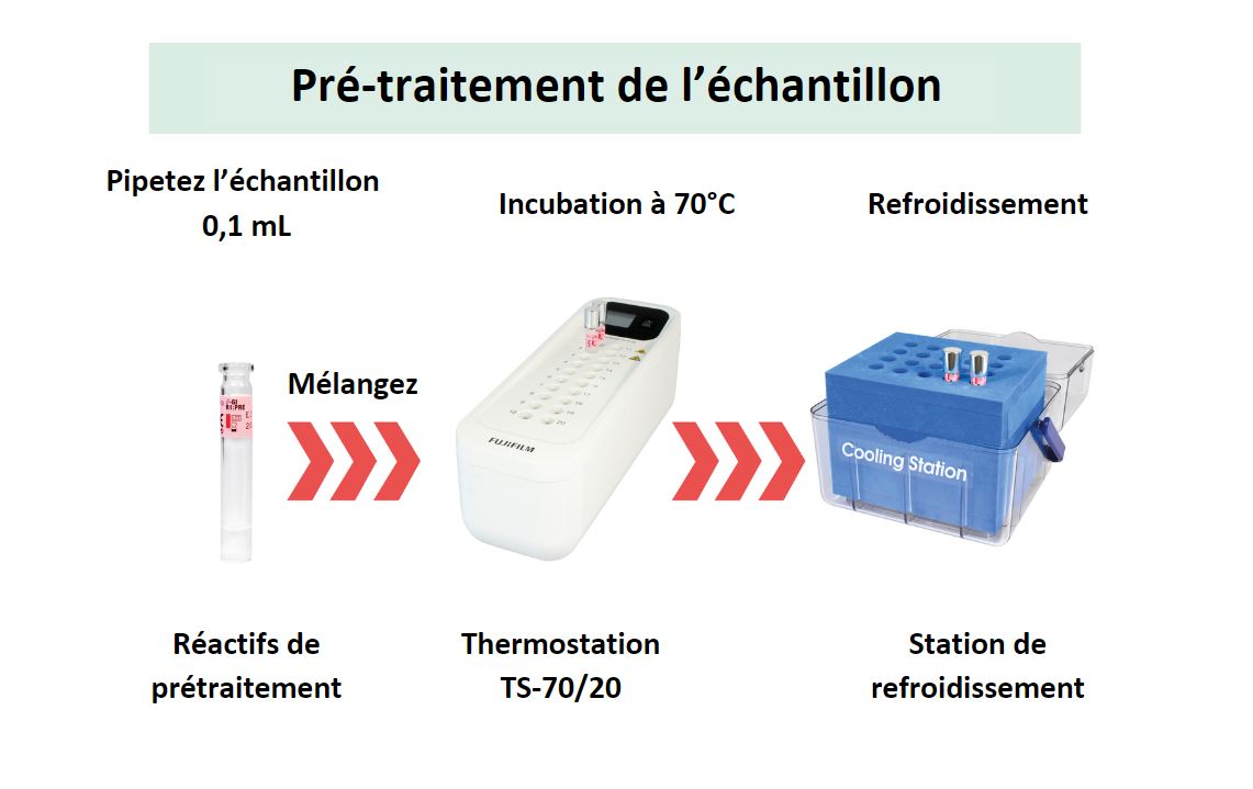 Procédure du test BDG