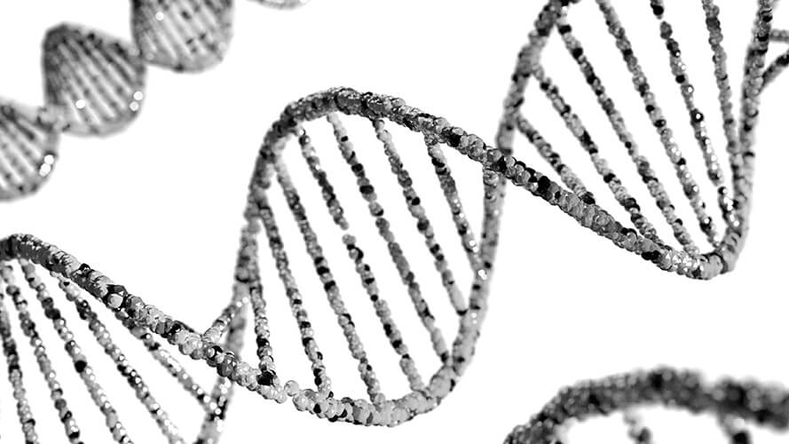 Transfection de l'ARN et de l'ADN