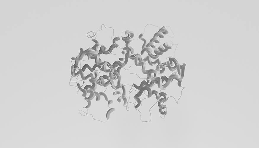 Extraction et purification des protéines